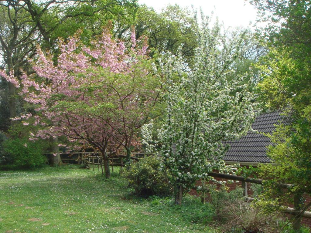 Yellowham Farm, Dorchester Higher Bockhampton Zewnętrze zdjęcie